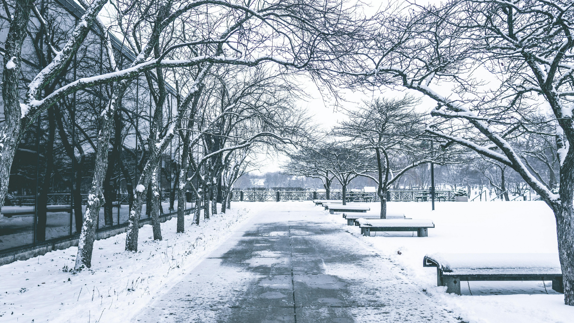 5 Ways to Protect Your Business From Slip & Fall Claims